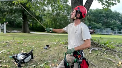 Invasive Species Management Success